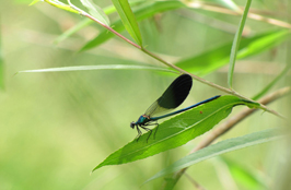 ششمین جشنواره‌ی عکس رشد: دانش‌آموزی 26