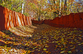 ششمین جشنواره‌ی عکس رشد: دانش‌آموزی 27