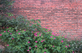 ششمین جشنواره‌ی عکس رشد: دانش‌آموزی 34