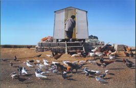 ششمین جشنواره‌ی عکس رشد: دانش‌آموزی 38