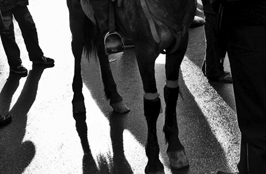 ششمین جشنواره‌ی عکس رشد: دانش‌آموزی 41