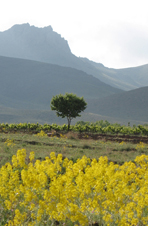 ششمین جشنواره‌ی عکس رشد: دانش‌آموزی 43