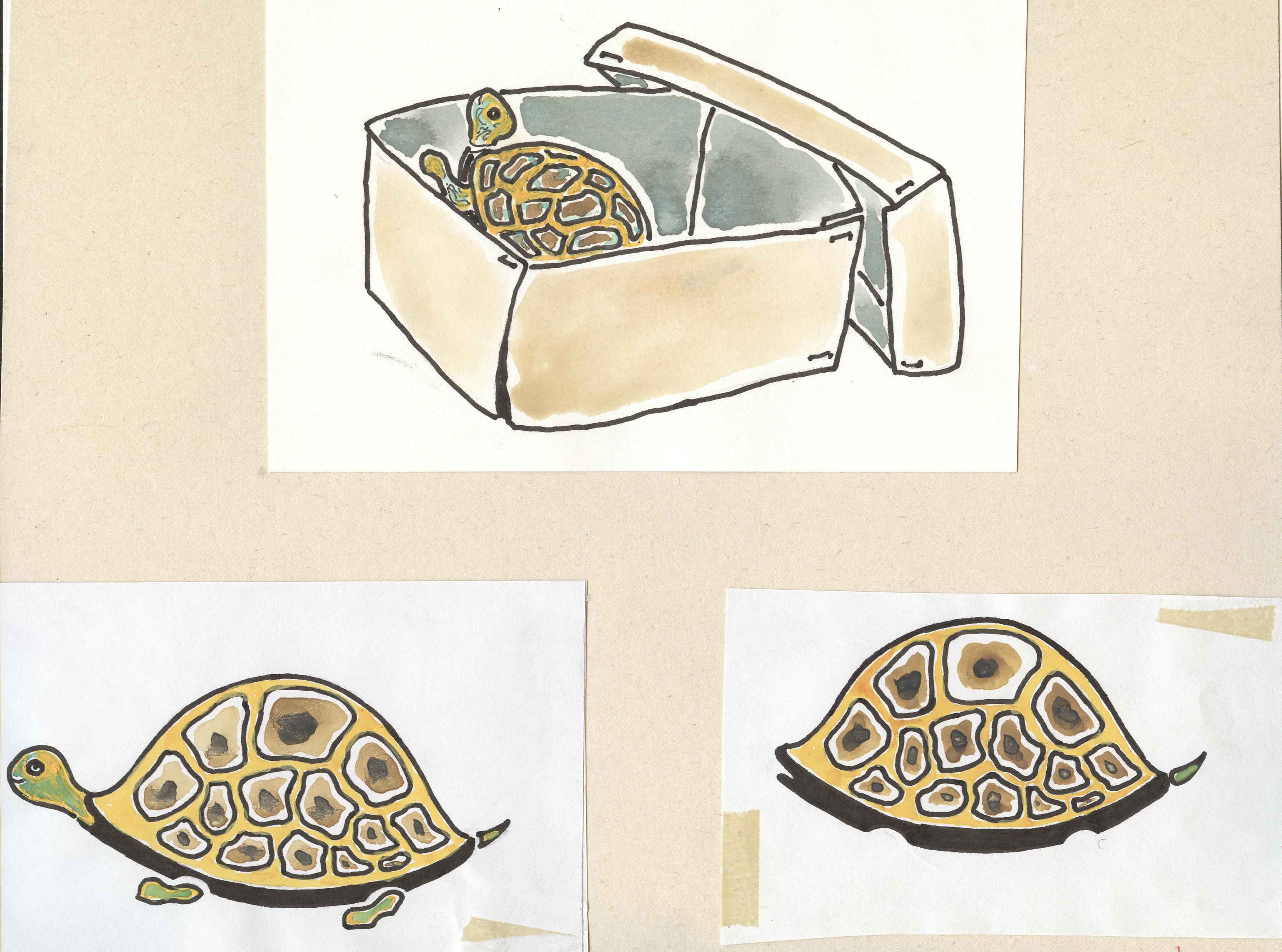 تصویرسازی . کد 12054