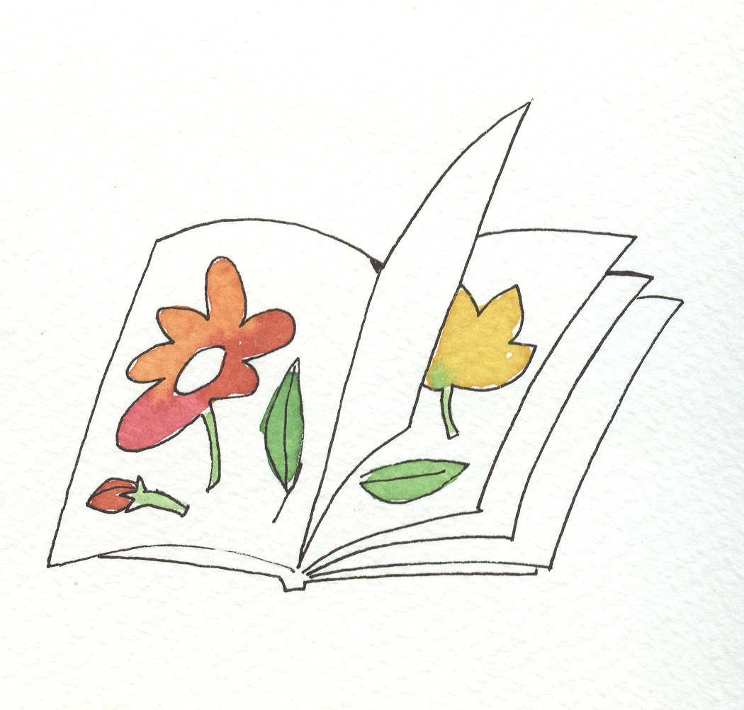 تصویرسازی . کد 10565