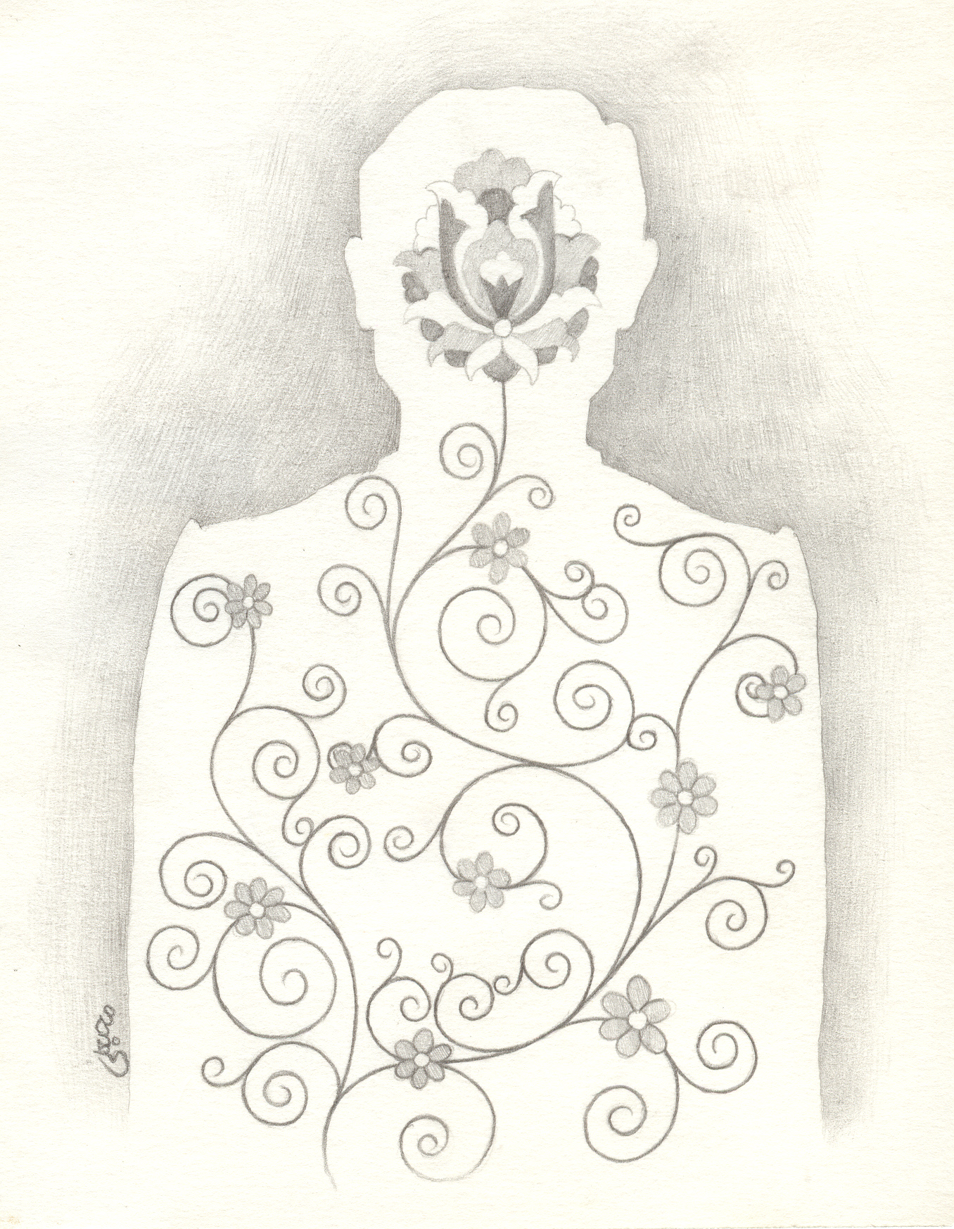 تصویرسازی . کد 10567