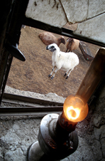 ششمین‌ جشنواره‌ی عکس رشد: ایران، سرزمین پرگهر  2