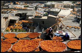 ششمین‌ جشنواره‌ی عکس رشد: ایران، سرزمین پرگهر  5