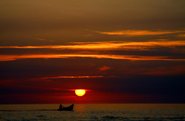 ششمین‌ جشنواره‌ی عکس رشد: ایران، سرزمین پرگهر  12