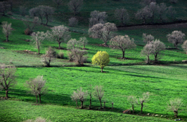 ششمین‌ جشنواره‌ی عکس رشد: ایران، سرزمین پرگهر  17