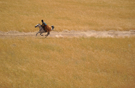 ششمین‌ جشنواره‌ی عکس رشد: ایران، سرزمین پرگهر  18