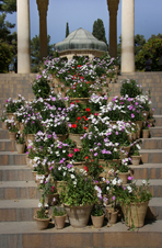 ششمین‌ جشنواره‌ی عکس رشد: ایران، سرزمین پرگهر  21