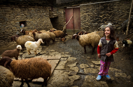 ششمین‌ جشنواره‌ی عکس رشد: ایران، سرزمین پرگهر  28