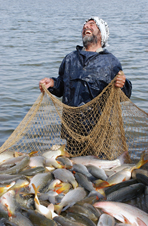 ششمین‌ جشنواره‌ی عکس رشد: ایران، سرزمین پرگهر  32