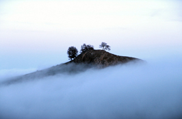 ششمین‌ جشنواره‌ی عکس رشد: ایران، سرزمین پرگهر  37