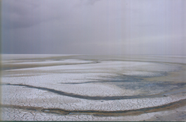 ششمین‌ جشنواره‌ی عکس رشد: ایران، سرزمین پرگهر  38