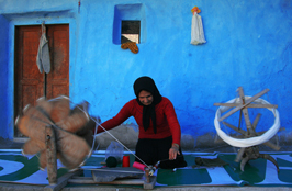 ششمین‌ جشنواره‌ی عکس رشد: ایران، سرزمین پرگهر  40