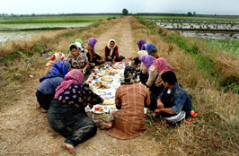 ششمین‌ جشنواره‌ی عکس رشد: ایران، سرزمین پرگهر  41