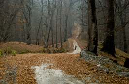 ششمین‌ جشنواره‌ی عکس رشد: ایران، سرزمین پرگهر  45