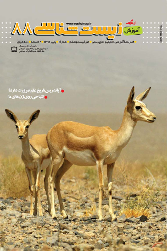 رشد آموزش زیست‌شناسی. شماره 88. پاییز 91