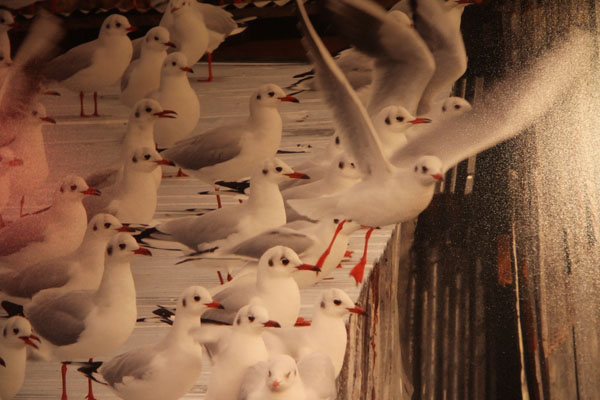 مراسم افتتاحیه «هفتمین جشنواره عکس رشد»