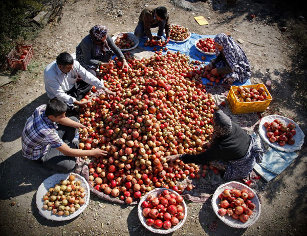 عکس شایسته تقدیر گرایش حماسه سیاسی، حماسه اقتصادی: محمد وروانی فراهانی از استان مرکزی شهرستان اراک