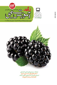 رشد آموزش شیمی... شماره 113... تابستان 94