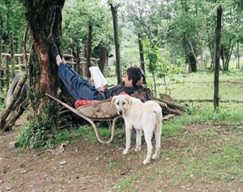 جشنواره ششم