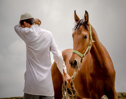 احسان کمالی، بجنورد