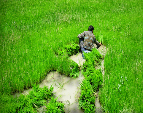 سهیلا تمیزی؛ اصفهان (هشتمین جشنواره عکس رشد)