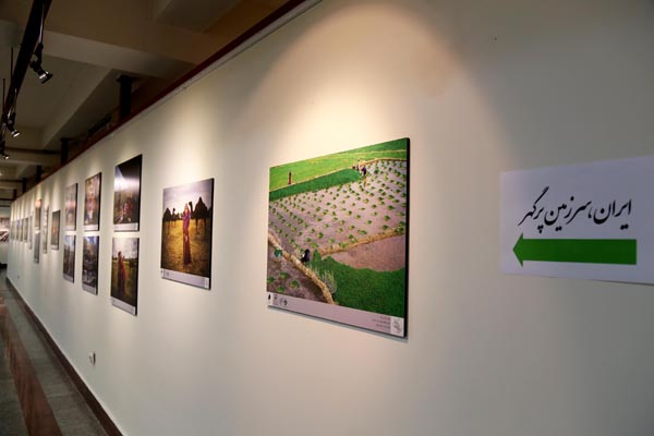نمایشگاه آثار برگزیده نهمین جشنواره عکس رشد؛ 10 آبان 95