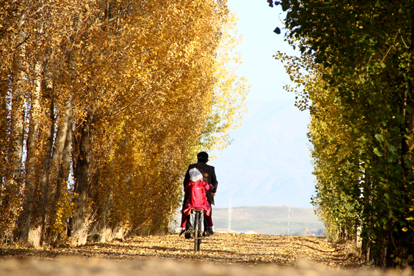 نهمین جشنواره عکس رشد؛ بخش آموزش و پرورش: سالار پویان؛ استان آذربایجان شرقی، میانه