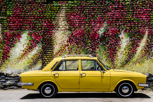 نهمین جشنواره عکس رشد؛ بخش دانش‌آموزی: محمد مقصودی؛ استان مرکزی، شازند