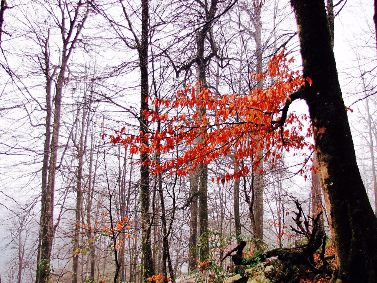 نهمین جشنواره عکس رشد؛ گرایش دانش‌آموزی: زهرا معصومی از تهران