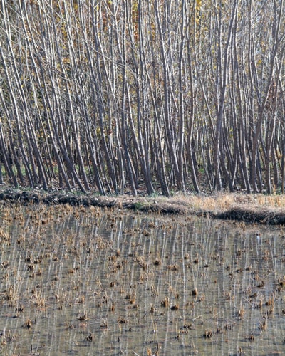 نهمین جشنواره عکس رشد؛ بخش دانش‌آموزی: عرفان هادی‌پور؛ استان اصفهان، نجف‌آباد