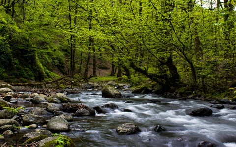 نهمین جشنواره عکس رشد؛ بخش دانش آموزی: پویا قبادی؛ استان اردبیل