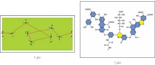 فضای ترکیبی آموزشی