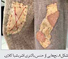 زیست شناسی هنر است