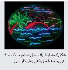 زیست شناسی هنر است