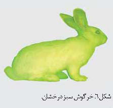 زیست شناسی هنر است