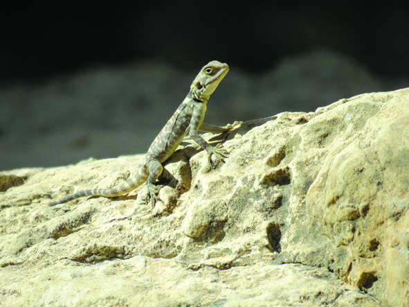 عکس های شما