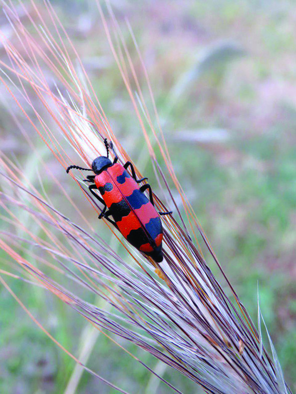 عکس های شما