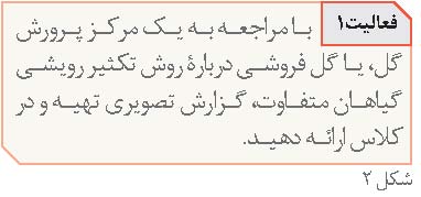 پیشنهادهایی برای آموزش تولید مثل گیاهان