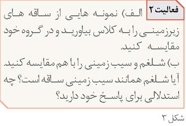 پیشنهادهایی برای آموزش تولید مثل گیاهان