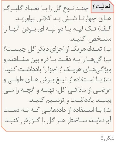 پیشنهادهایی برای آموزش تولید مثل گیاهان