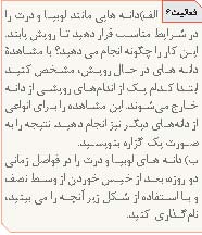 پیشنهادهایی برای آموزش تولید مثل گیاهان