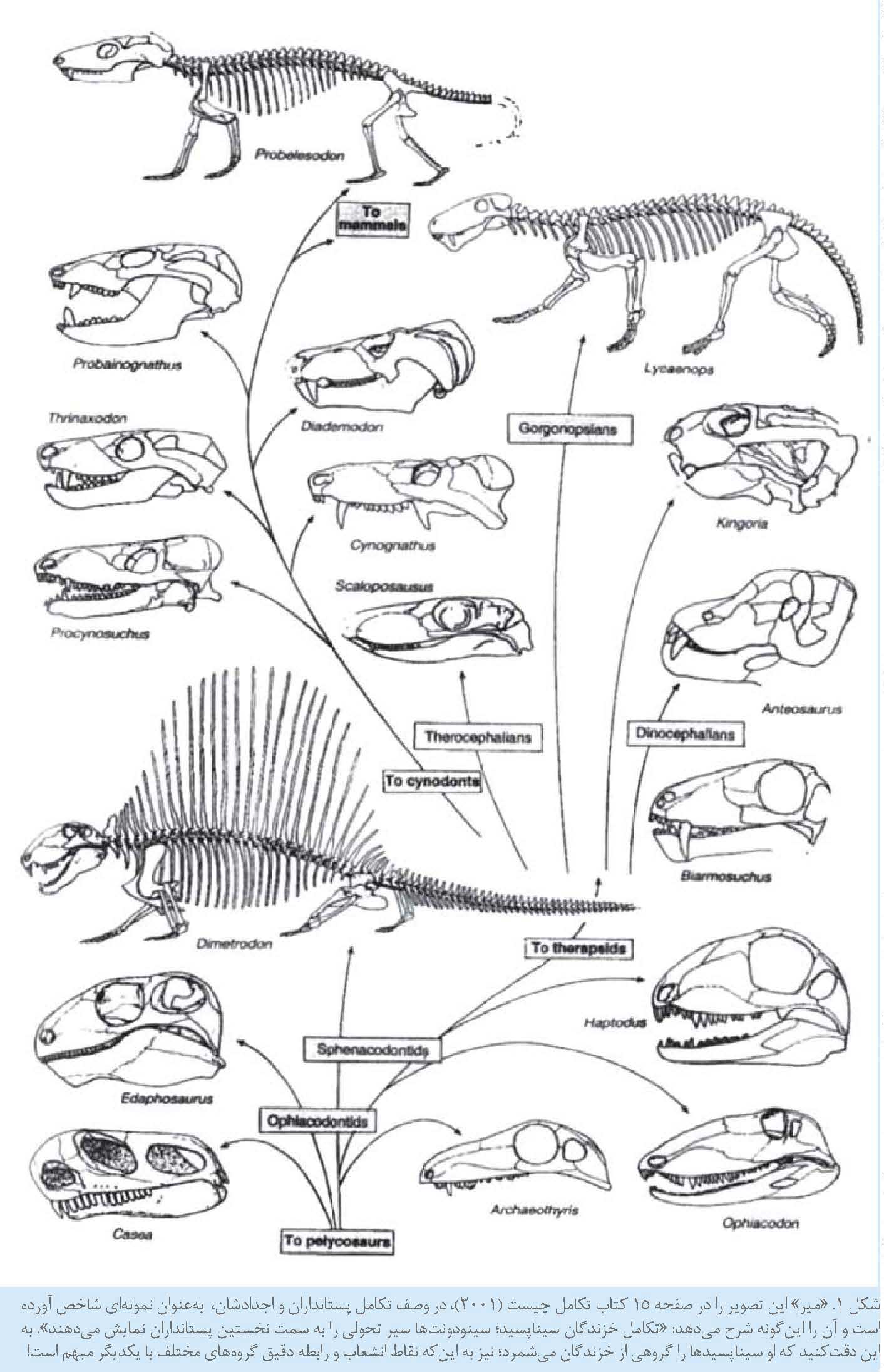 بارقه هایی متاخر از طرز فکری متقدم