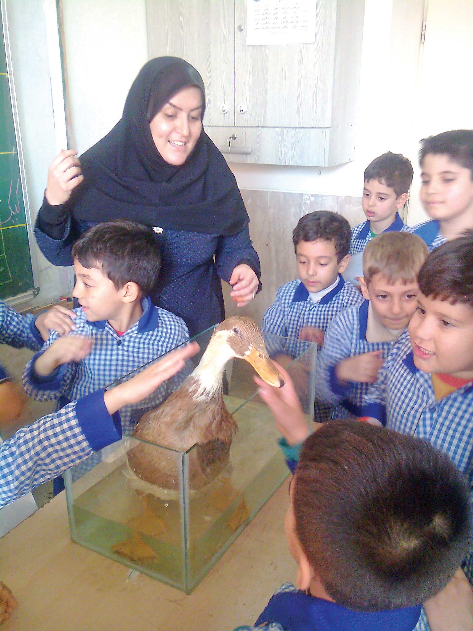 اُ مثلِ اُردک