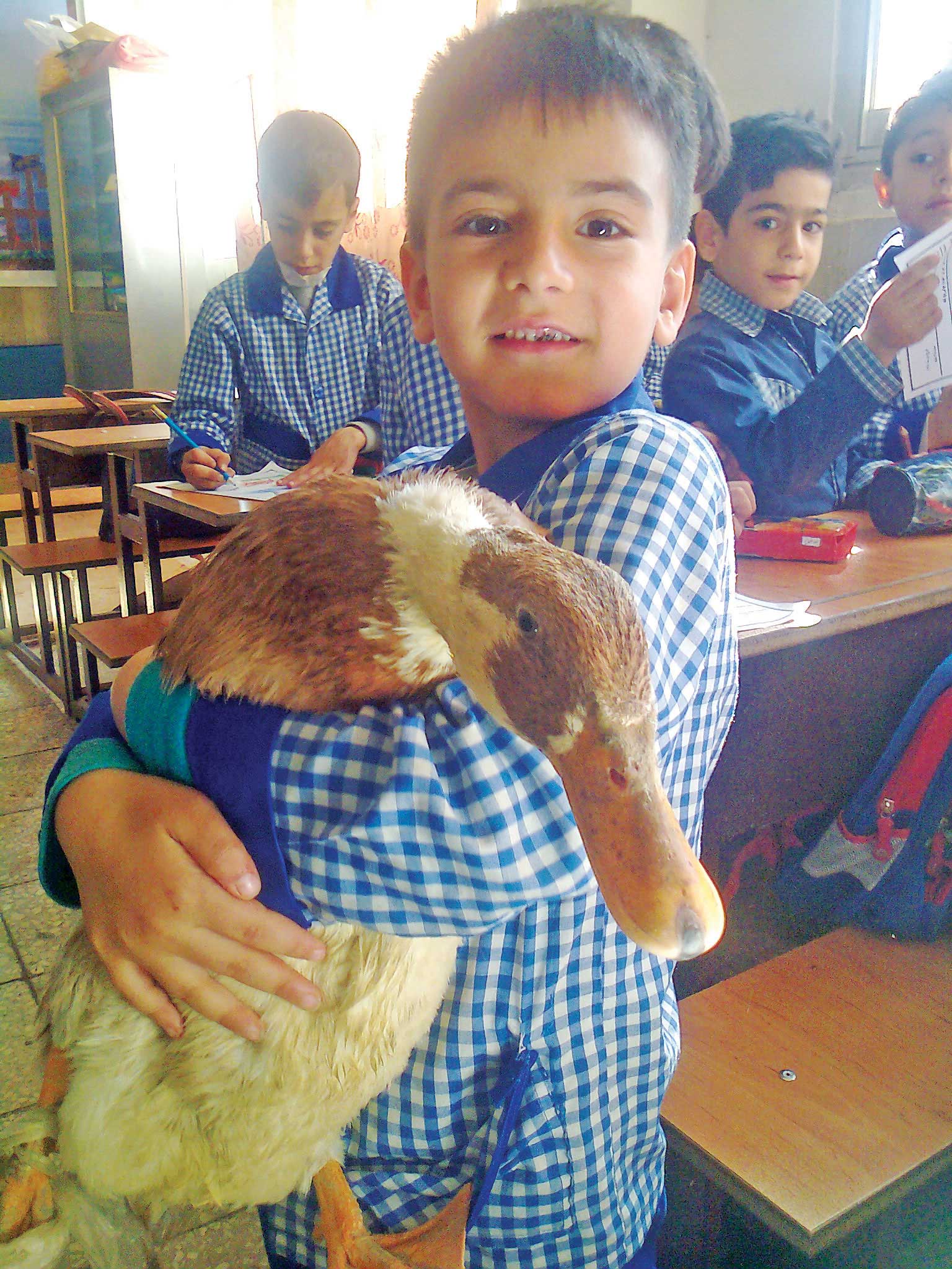 اُ مثلِ اُردک