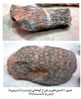 منطقه سفیده‌ ندوشن