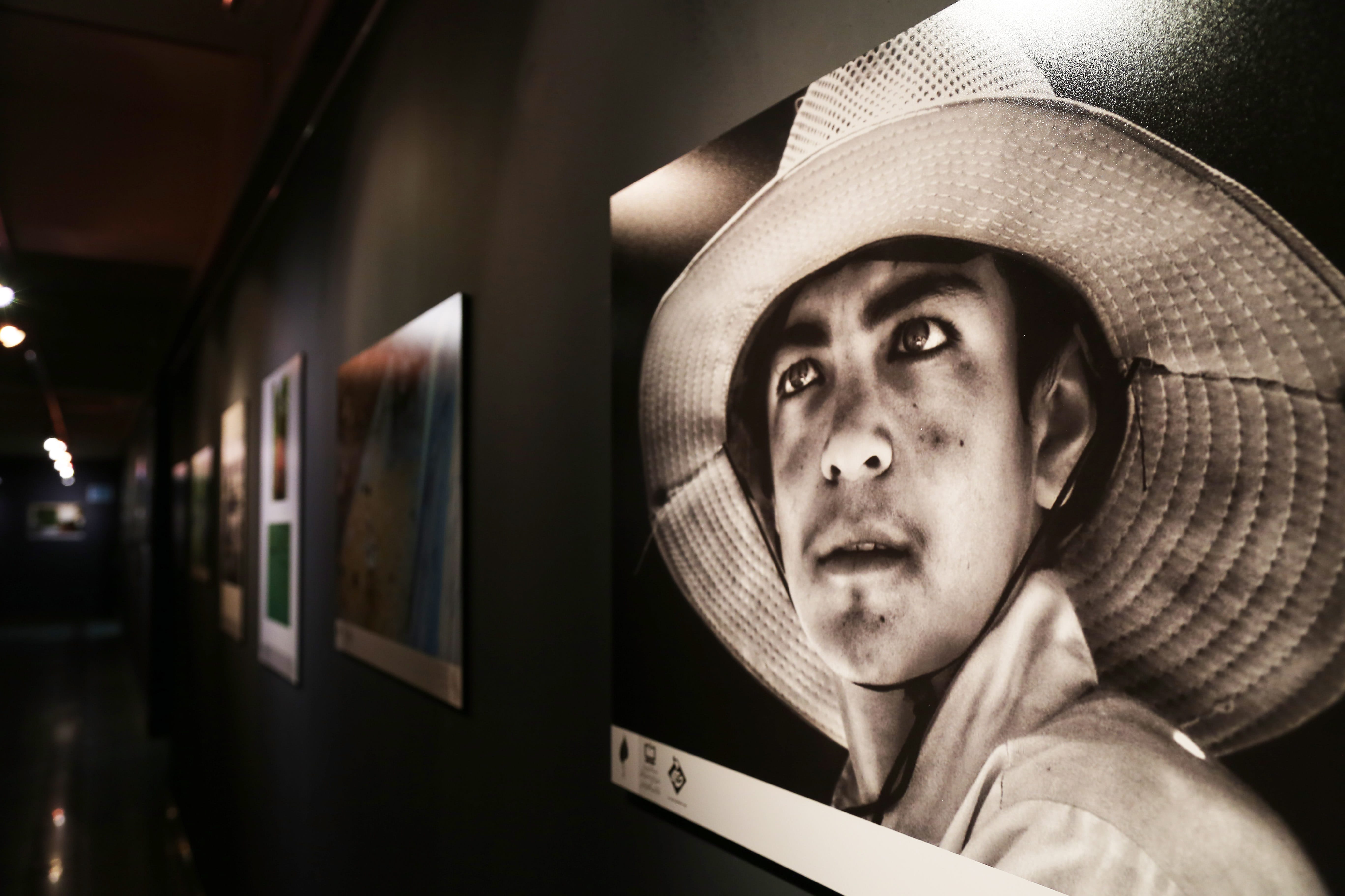 افتتاحیه دهمین جشنواره عکس رشد؛ ۱۵ مهر ۱۳۹۷